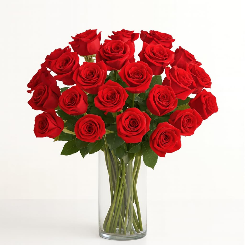 BloomsyBox - Red Roses - 24 Long Stems,Long Lasting, Hand-Tied in Eco-friendly,Vase Not Included,... | Amazon (US)