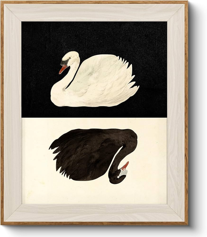 VIYYIEA Framed Canvas Wall Art for Living Room, Vintage Swan Art Home Decor Animal Oil Painting S... | Amazon (US)