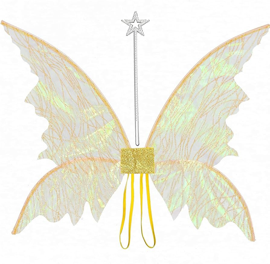 caretoto Gold Fairy Wings for Adults Dress Up Sparkling Sheer Butterfly Halloween Costume Angel W... | Amazon (US)
