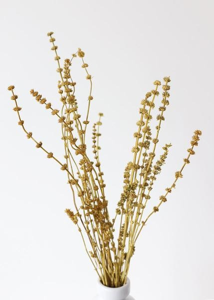 Dried Leonurus Motherwort Herbs in Mustard - 23" | Afloral (US)