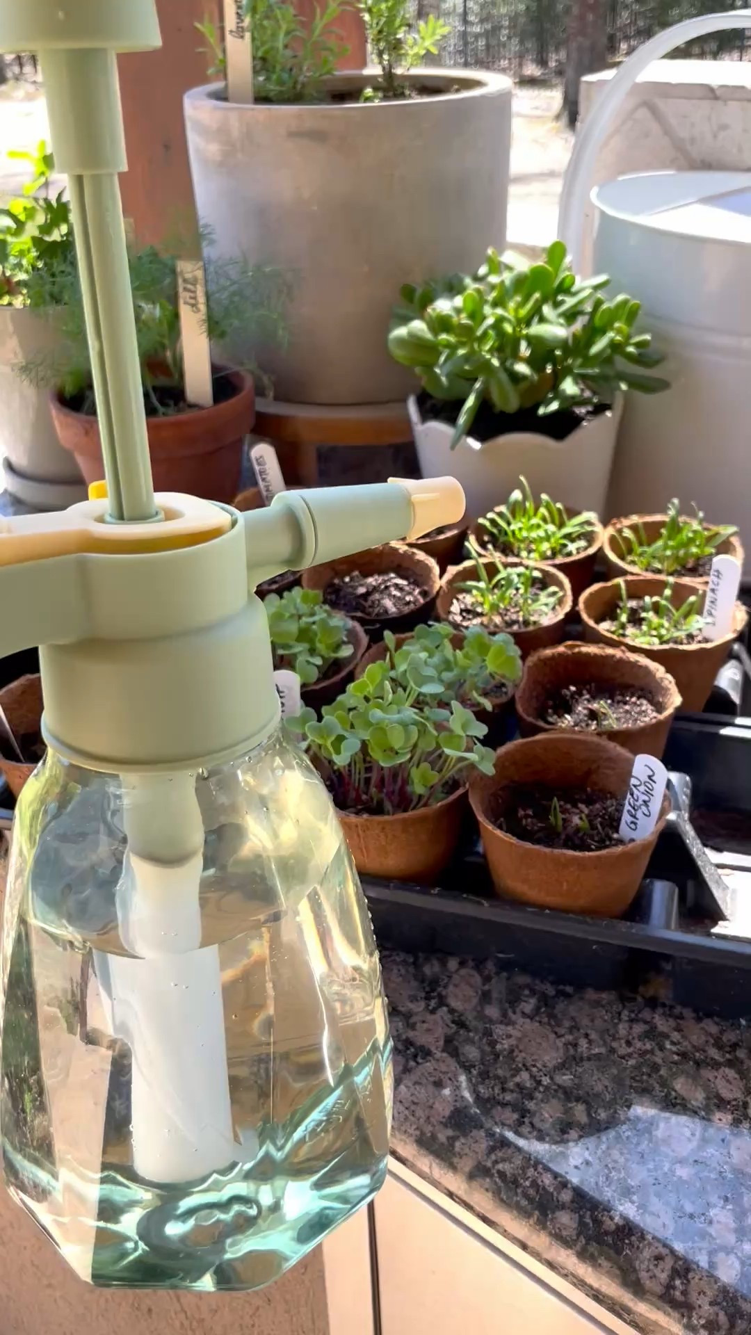 Gardening 
Peat pots 
Garden labels 