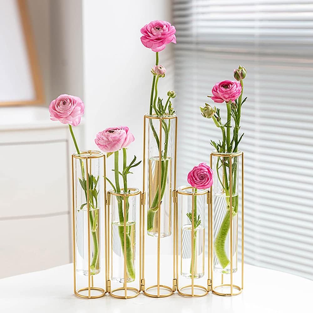 LACKINGONE 5 pcs Flower Vase, Metal Stand Decorative Glass Flower Vase, Metal Stand Hinged Bud Test  | Amazon (US)