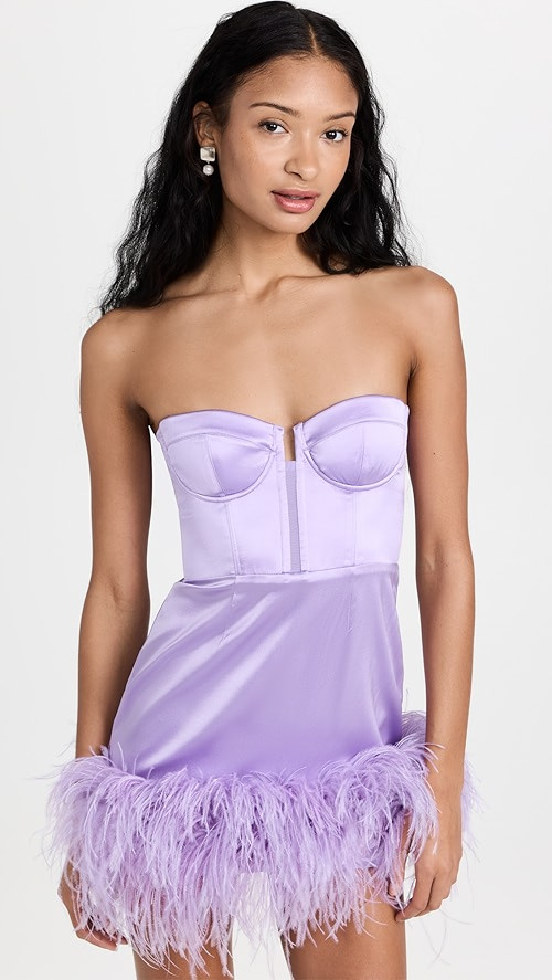 Feather Embellished Bustier Dress | Shopbop