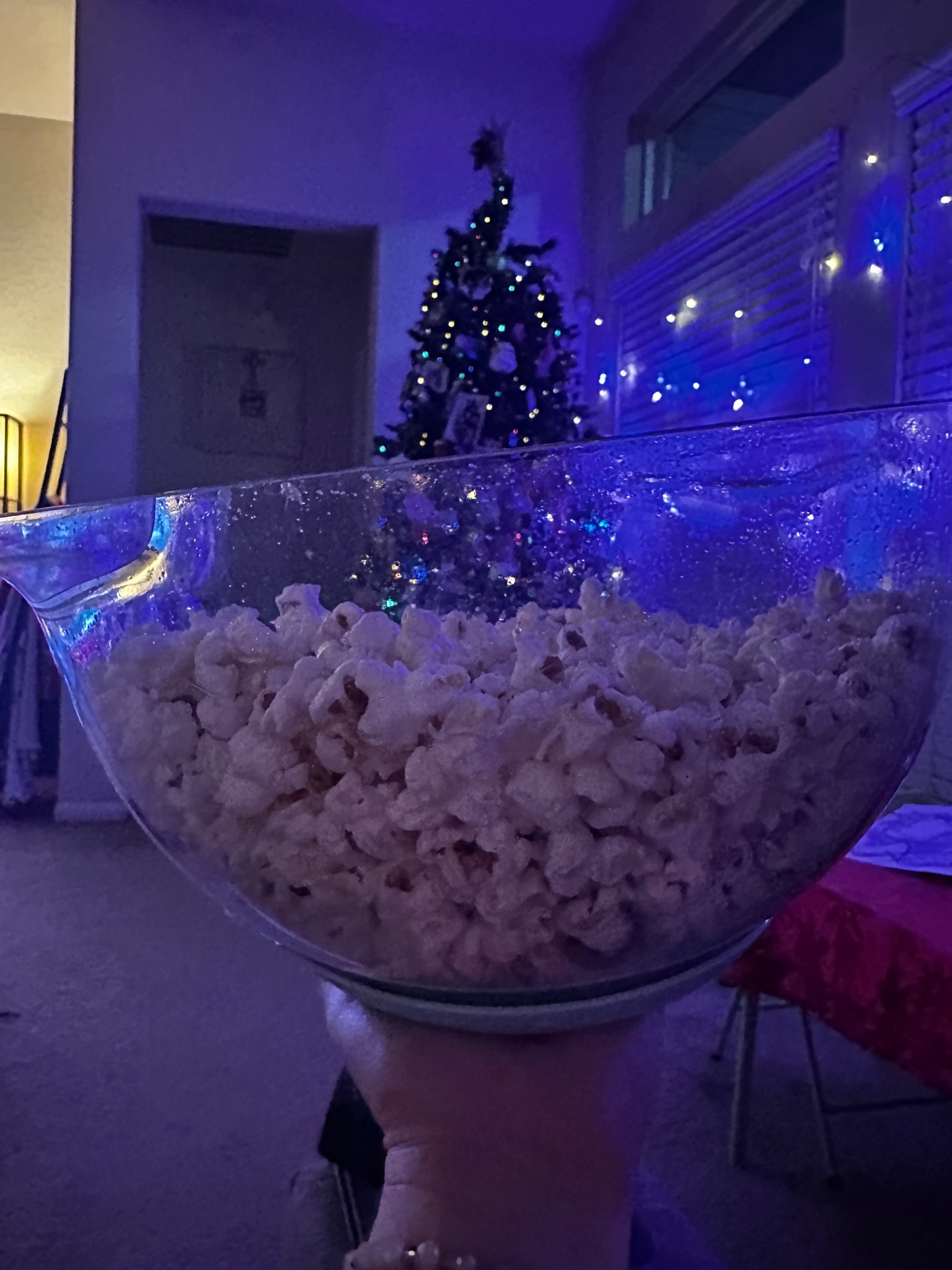 Popcorn is my favorite snack!!! My Dash popcorn popper makes it easy to pop and store! 

#LTKfoodie #LTKHome #LTKmomlife