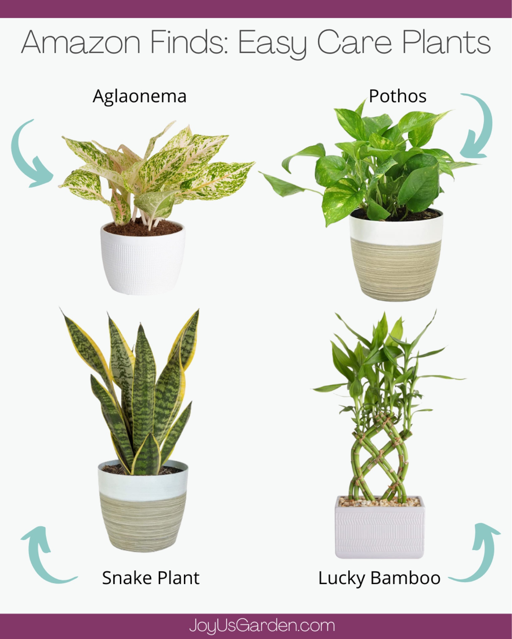 Looking for an easy care indoor plant for yourself or a friend? These are some of our favorite houseplants; Aglaonema, Pothos, Snake Plant, and Lucky Bamboo. #planter #plants #homedecor #planters#plant #plantsmakepeoplehappy #plantlover #succulents #ceramics #indoorplants #interiordesign #houseplants #pot #pots #plantlife #home 

#LTKunder100 #LTKunder50 #LTKhome