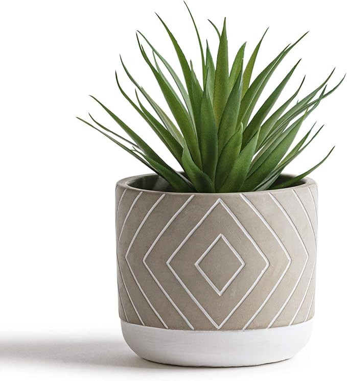 Kurrajong Farmhouse 8" x 4.5" Artificial Green Plant in Gray Cement Pot, Beautiful Feaux Plant, S... | Amazon (US)