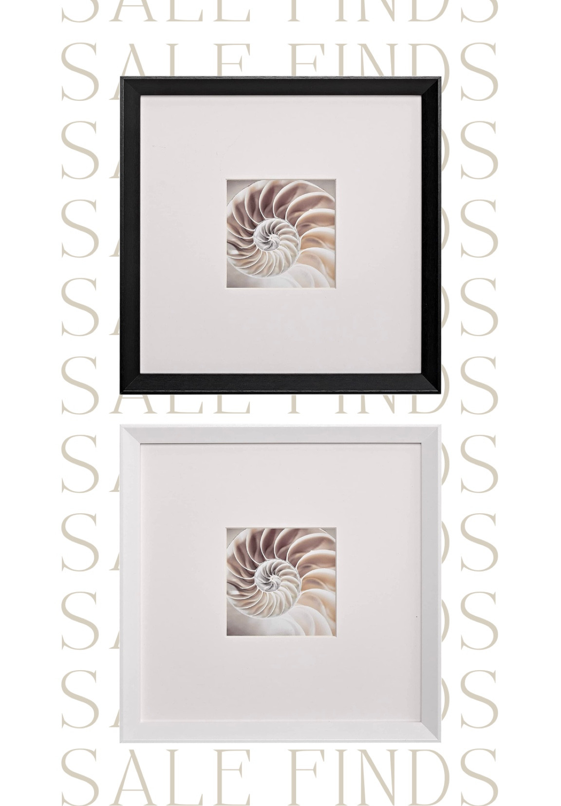 Sale ALWRT! These argue matted frames are a great price today! 

Gallery wall, gallery frame, oversized mat, white frame, black frame, frame decor, living room, dining room, bedroom, office space, art, framed art, abstract framed art, Amazon, amazon find

#LTKstyletip #LTKsalealert #LTKunder50