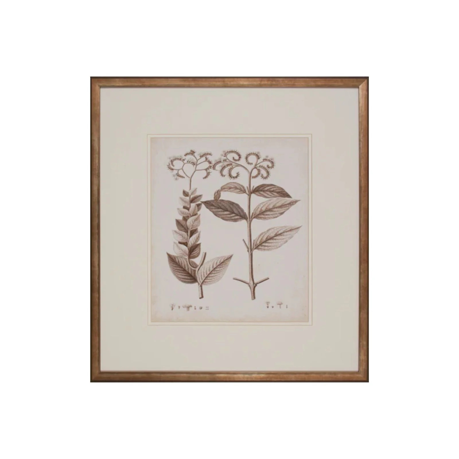 Lewiston Botanical VI | Brooke and Lou