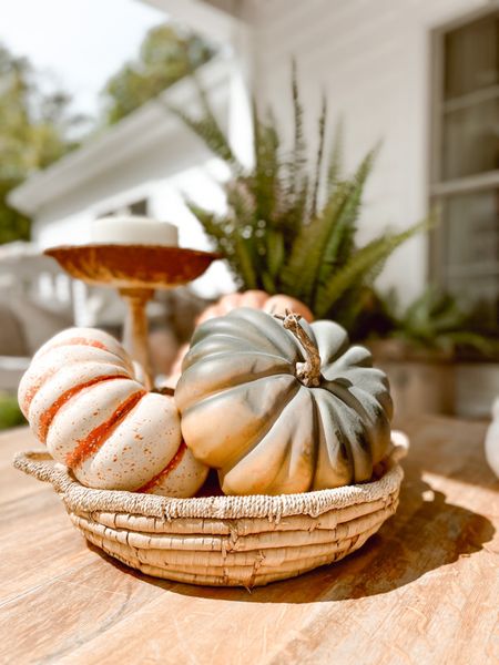 Michaels realistic faux pumpkins 

#LTKFind #LTKSeasonal #LTKhome