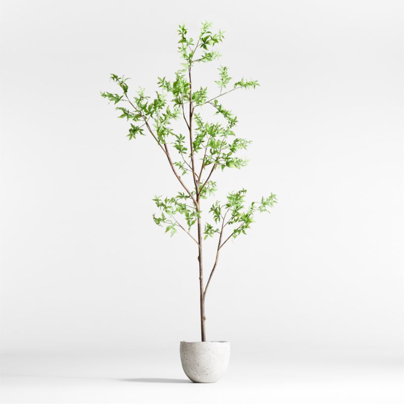 Potted Faux Green Maple Tree 7.5' + Reviews | Crate & Barrel | Crate & Barrel