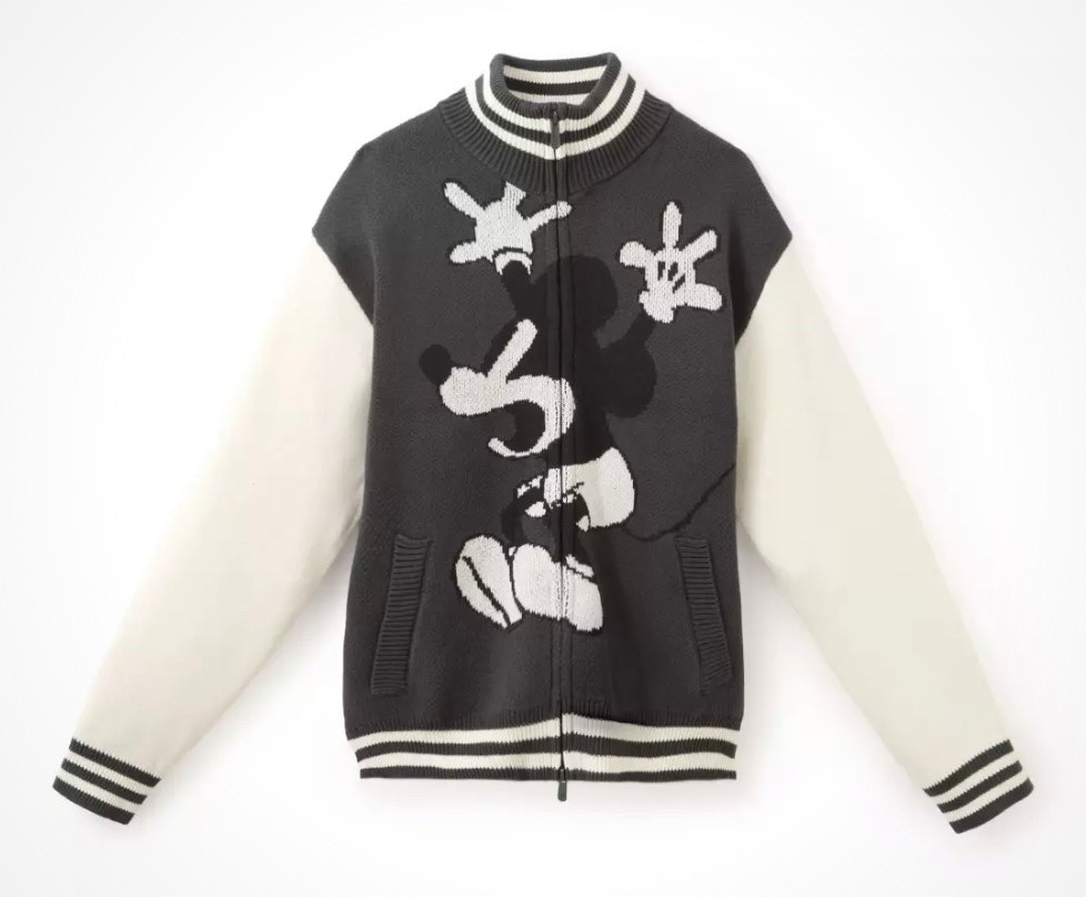 More FAB Halloween goodies dropped today for new merch Monday! Love the Mickey varsity sweater sm 🩶

#LTKSeasonal #LTKootd
