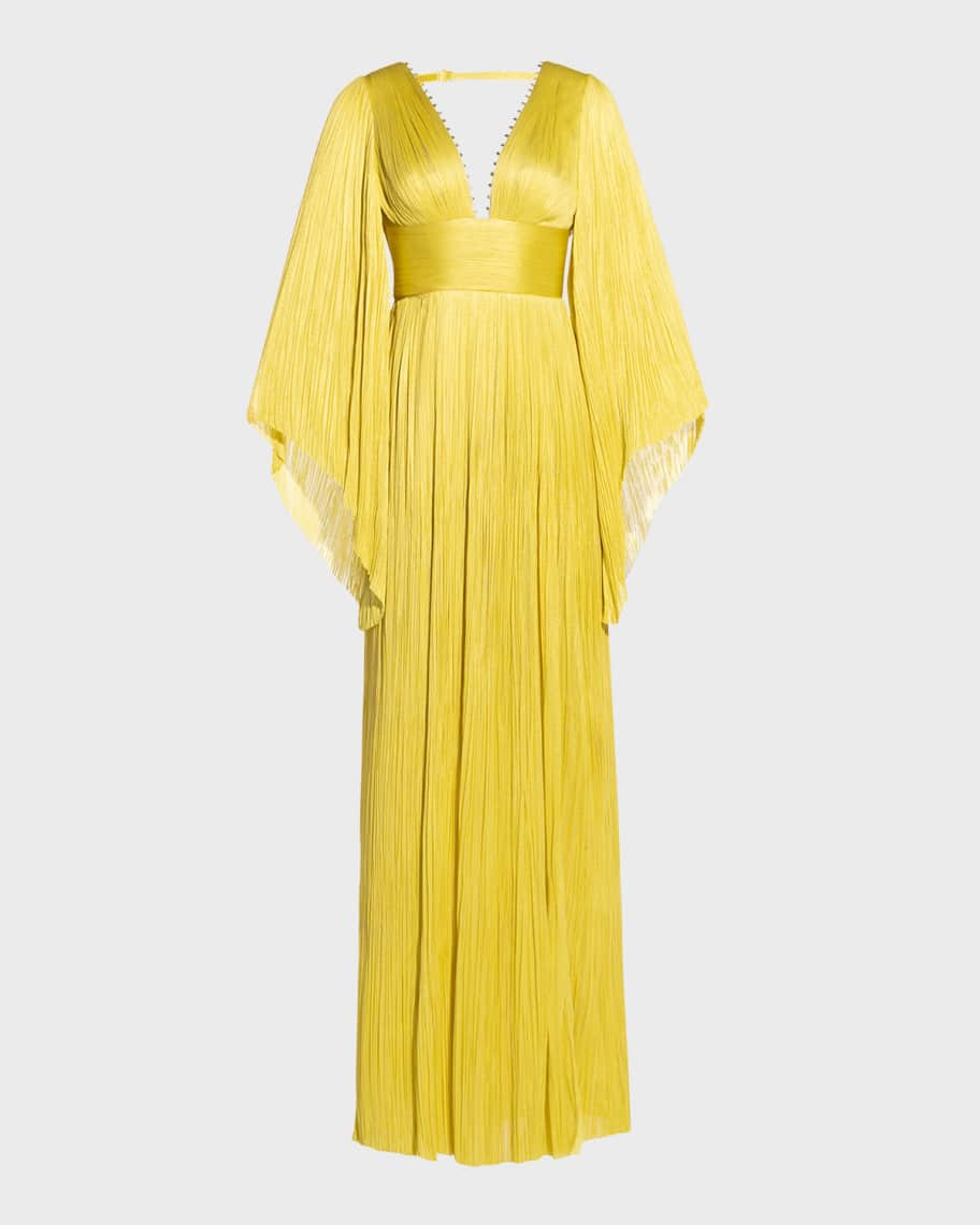 Maria Lucia Hohan Harlow Crystal Plunging Long-Sleeve Plisse Gown | Neiman Marcus