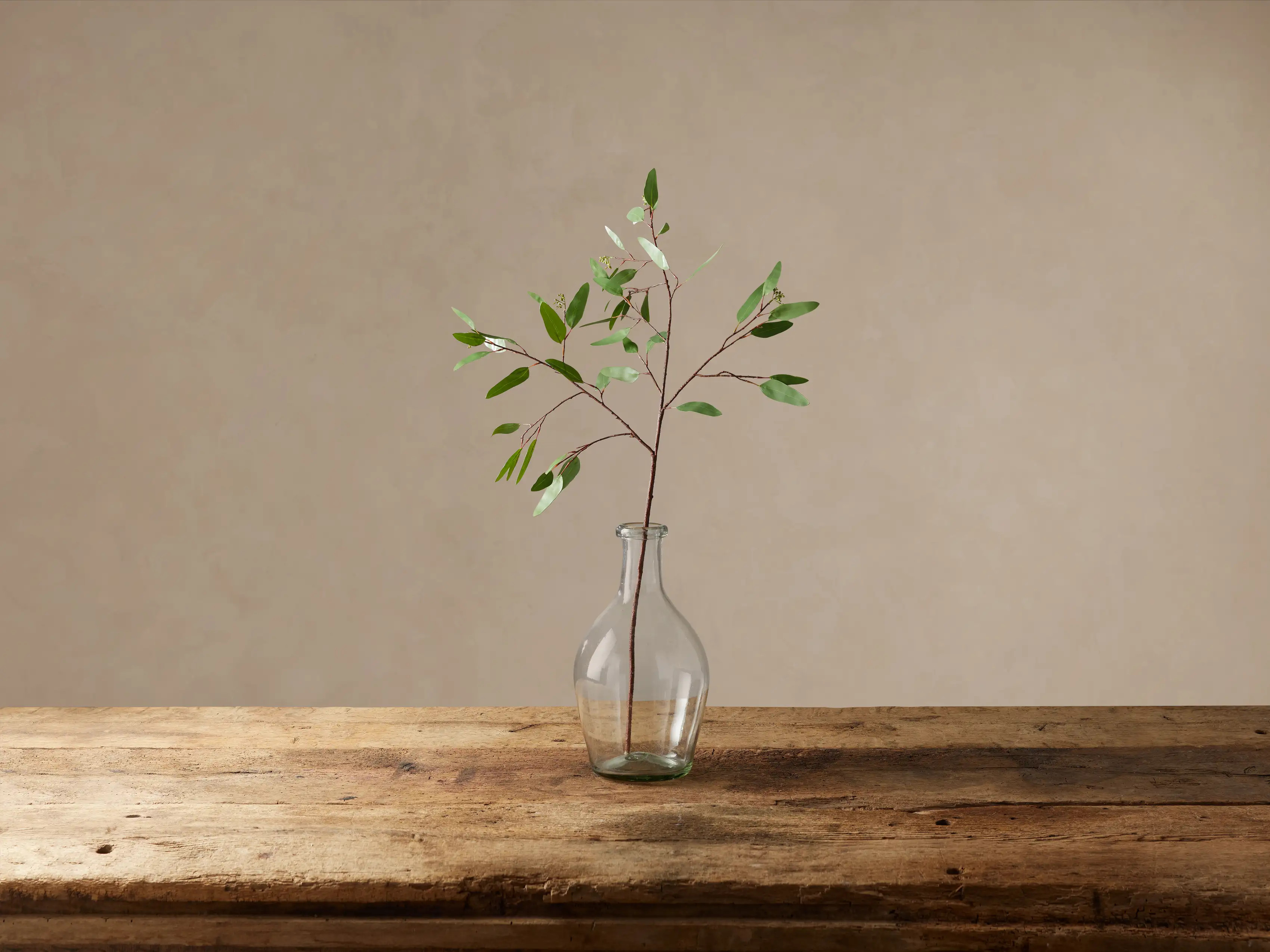 Faux Seeded Eucalyptus Stem | Arhaus