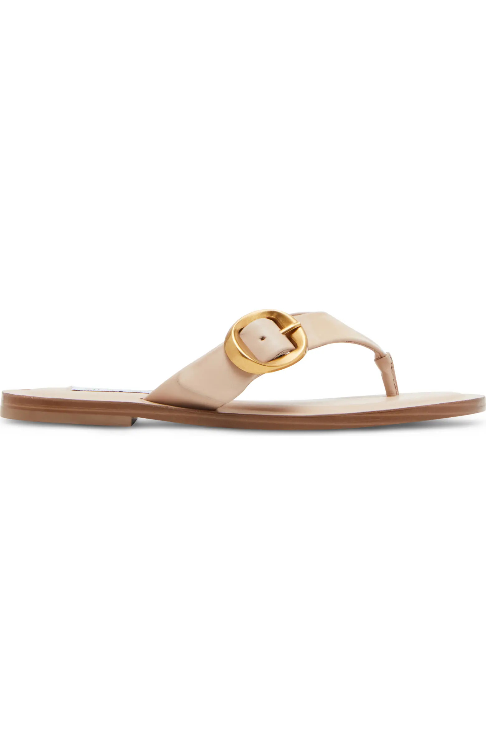 Steve Madden Rays Flip Flop (Women) | Nordstrom | Nordstrom