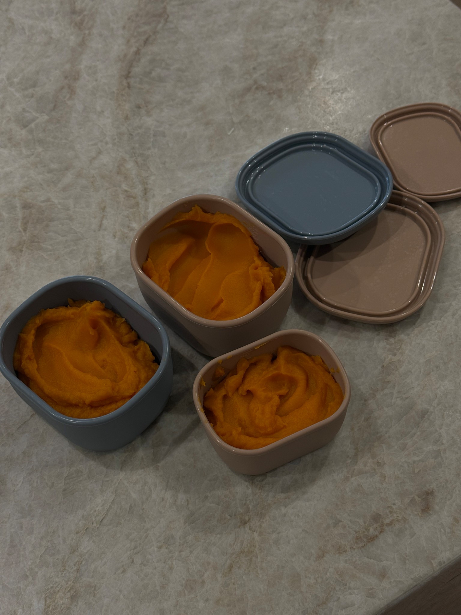 Silicone food storage containers — perfect for storing baby foodd