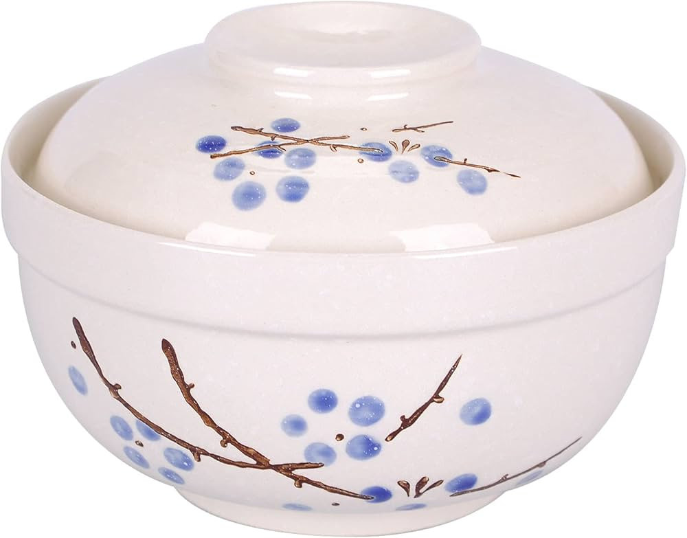 WHJY Japanese Creative Hand-painted Ceramic Tableware with Lid for Soup and Noodles, with Heat Pr... | Amazon (US)