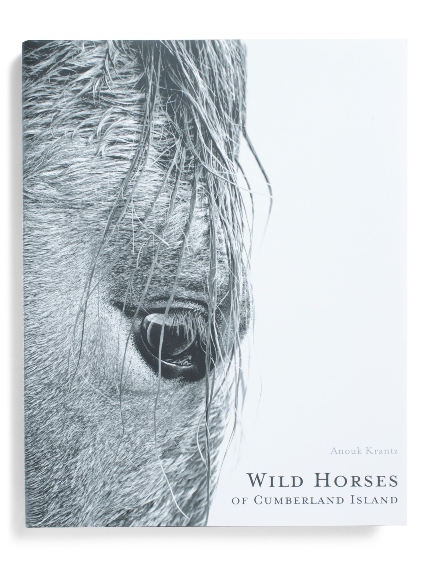 Wild Horses Of Cumberland Island | Decor | Marshalls | Marshalls