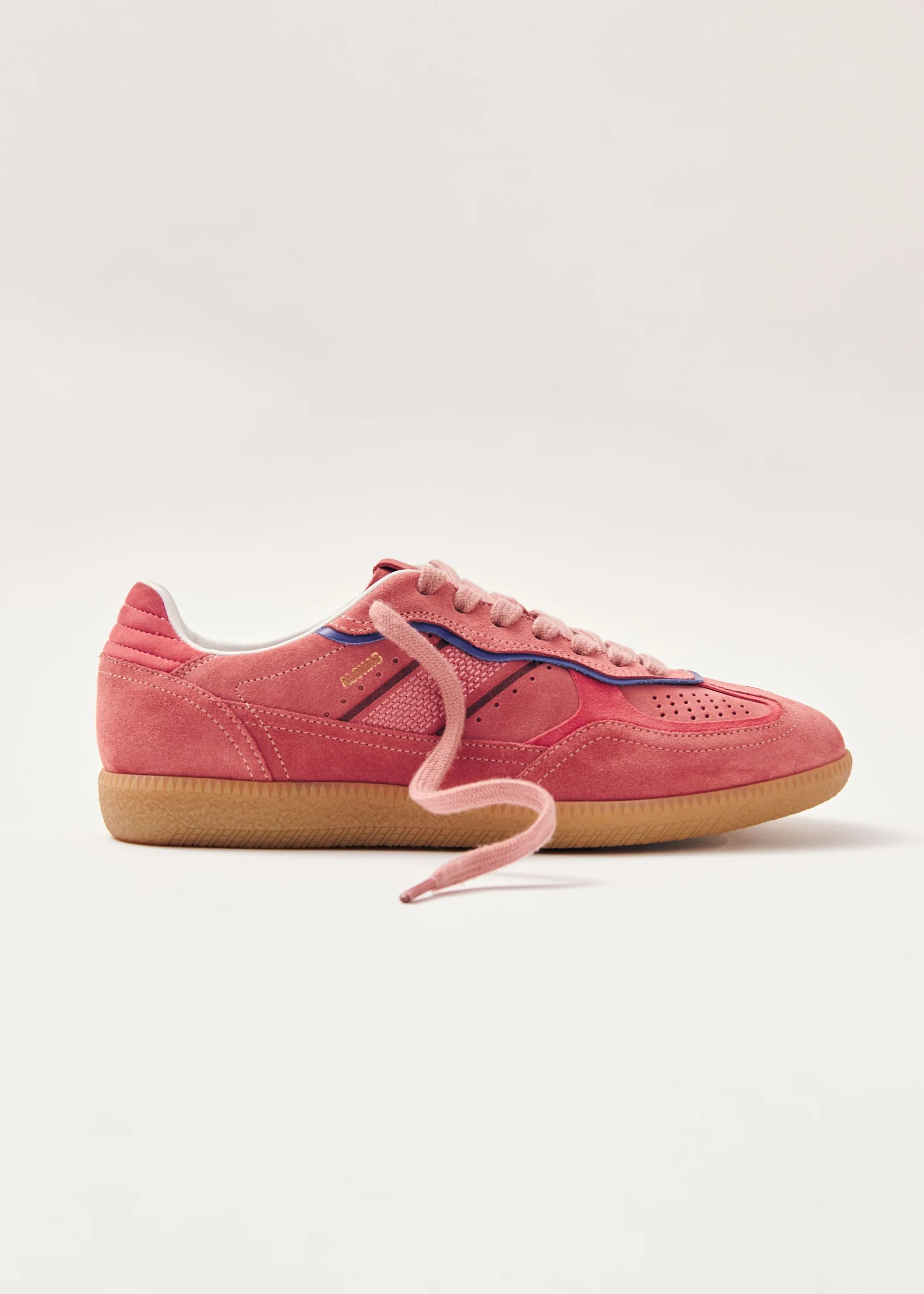 Tb.490 Rife Pink Leather Sneakers | ALOHAS | Alohas US