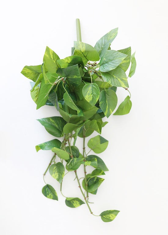 Real Touch Hanging Pothos Fake Plant - 22 | Afloral (US)