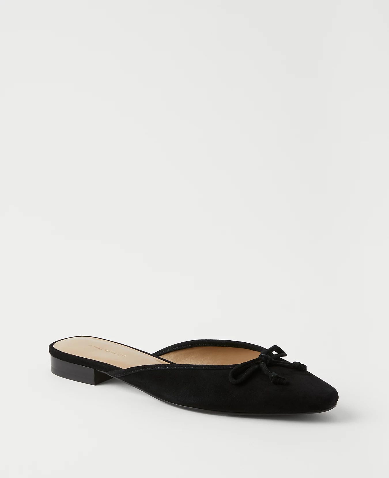 Suede Ballet Flat Slides | Ann Taylor (US)