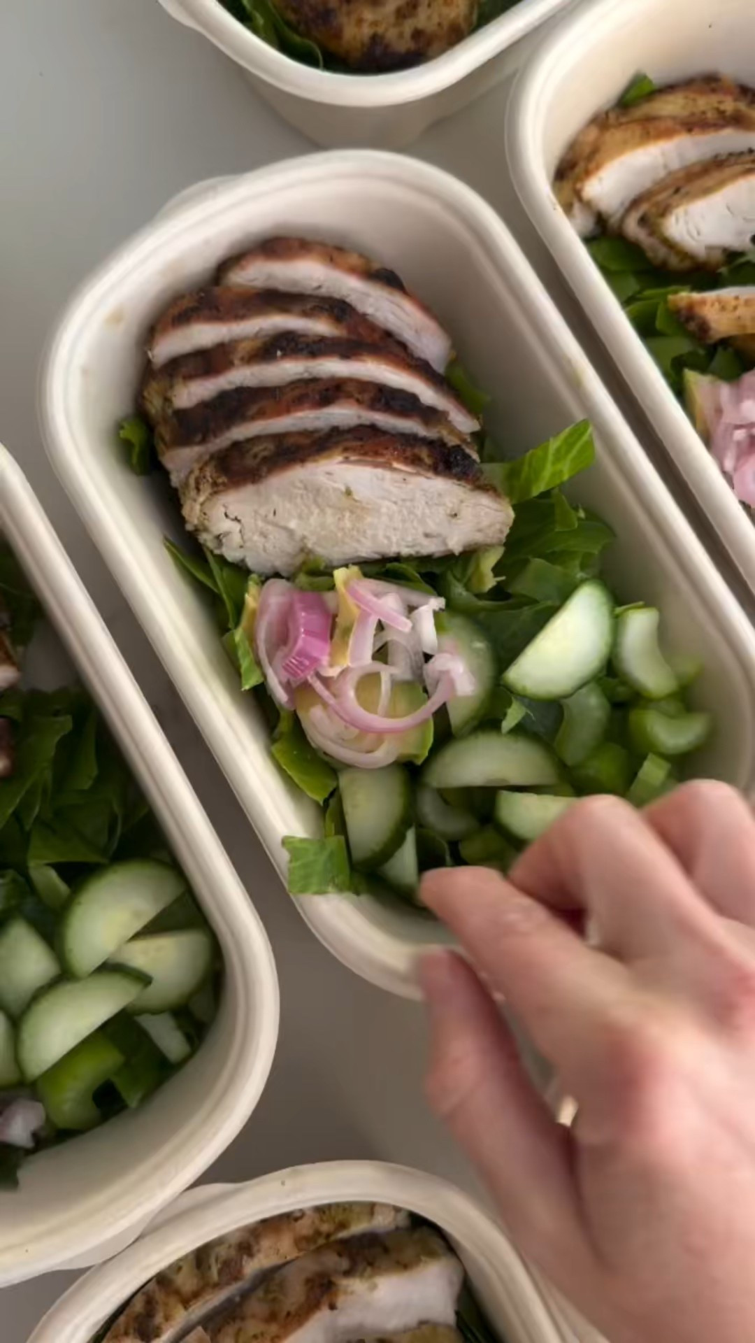 Salad club on repeat. This is one of my favorite go-to salads for lunch or dinner because it’s fresh, filling, and full of flavor. The creamy lemon pesto dressing comes together so easily and pairs perfectly with pesto grilled chicken, crunchy sourdough croutons, and simple veggies. An easy, customizable salad that works great for meal prep or busy weeknights.

#LTKSeasonal #LTKHome #LTKfoodie