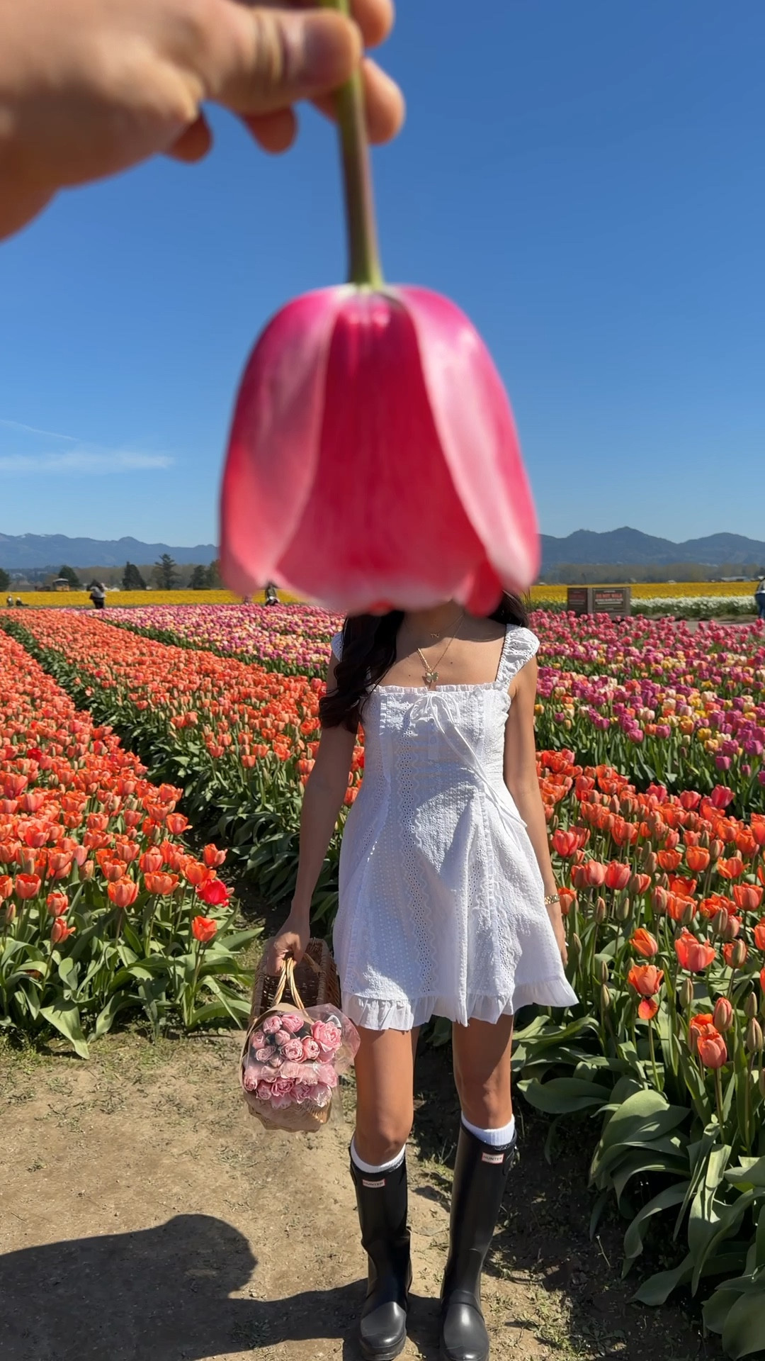 white eyelet dress, target dress, summer dress

#LTKootd