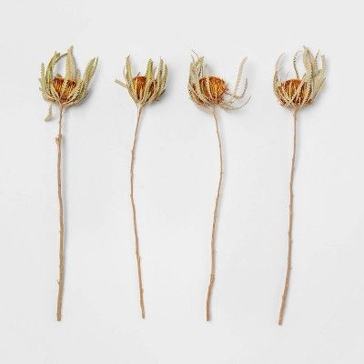 25" 4pc Dried Dryandra Bunch Yellow - Smith & Hawken™ | Target