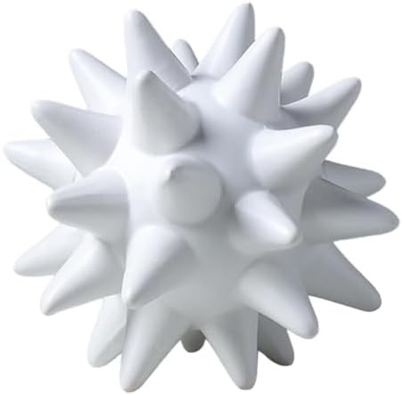 Oceanic Elegance: Handcrafted Sea Urchin Decor for Home and Office, White S | Amazon (US)