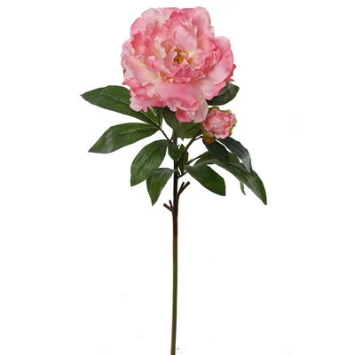 Peony Stem | Wayfair North America