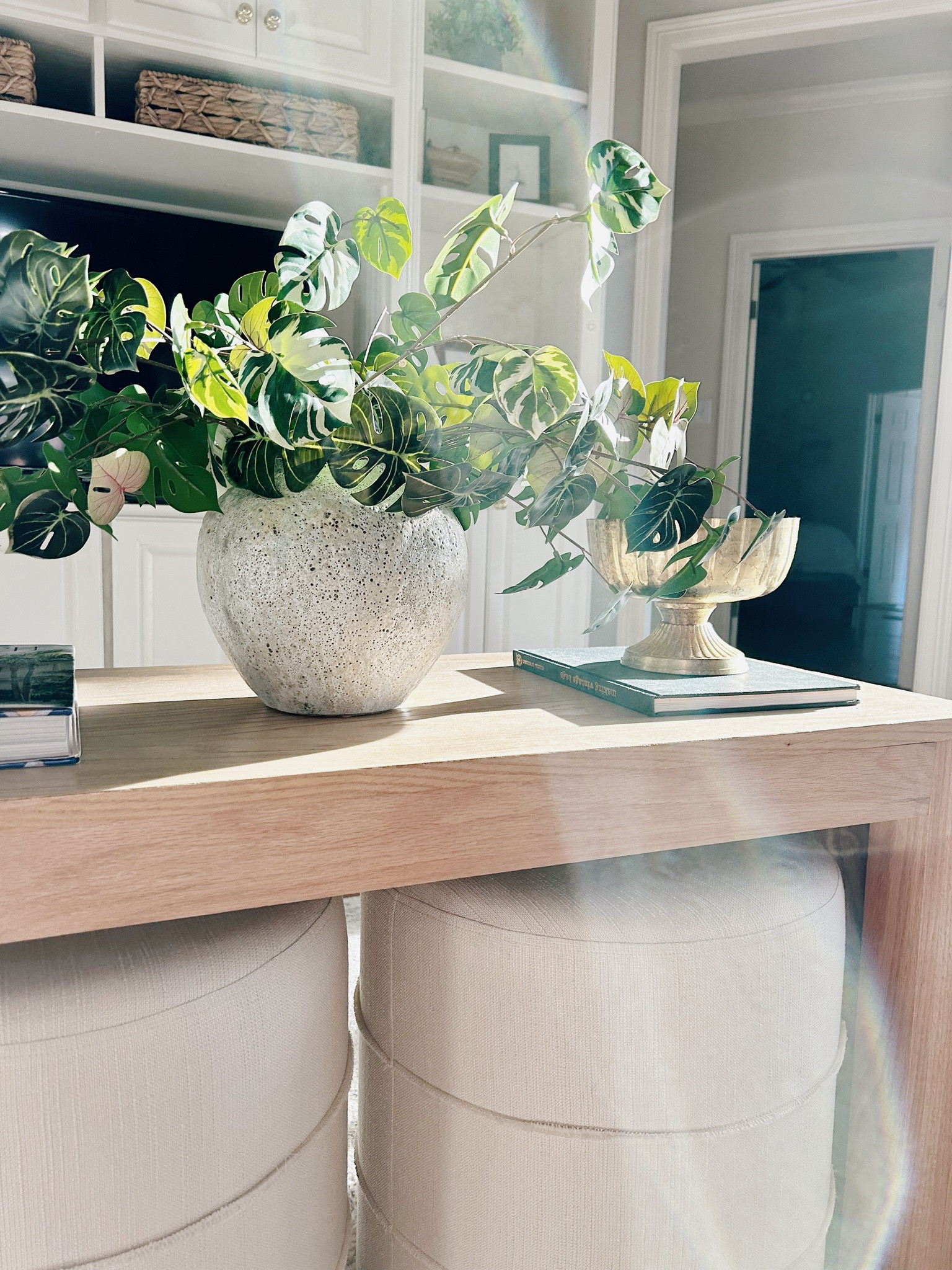 My coffee table stems and vase. The light hit just right!


#LTKFindsUnder50 #LTKFindsUnder100 #LTKHome