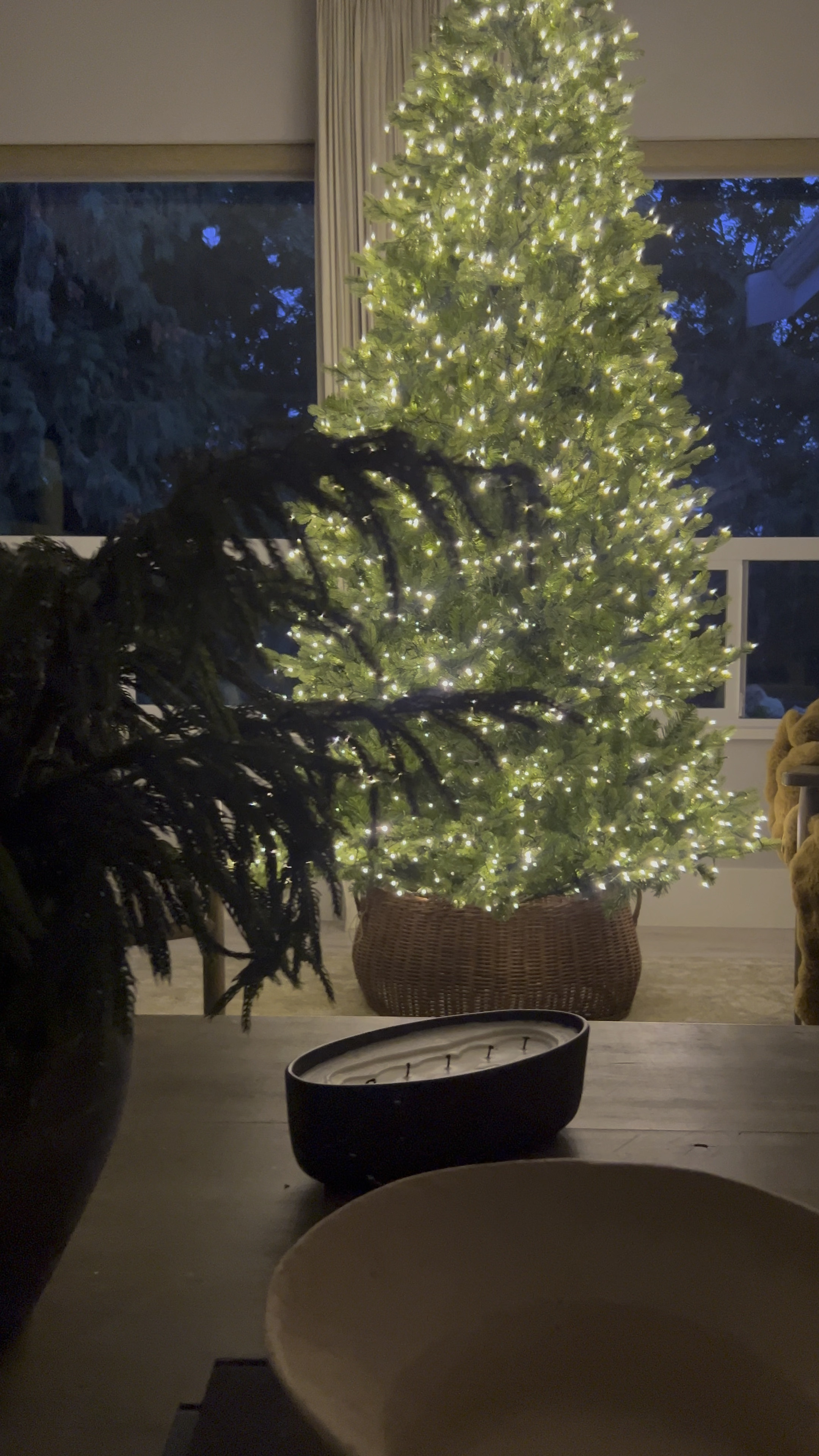 It’s a stunner! 9’ Christmas tree with multi light function (remote and app controlled ). I’m so in love with this tree. Available at Target!! 

Twinkle tree, Christmas decor 

#LTKVideo #LTKSeasonal #LTKHoliday