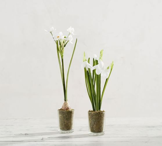 Faux Plants & Flowers | Pottery Barn (US)