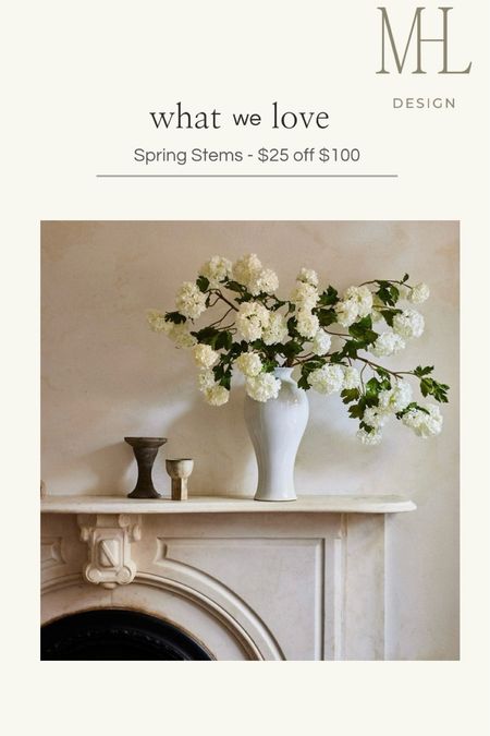Faux stems are the perfect spring
Home decor and they are on sale for Presidents’ Day weekend. 

#LTKSpringSale #LTKhome #LTKfindsunder50
