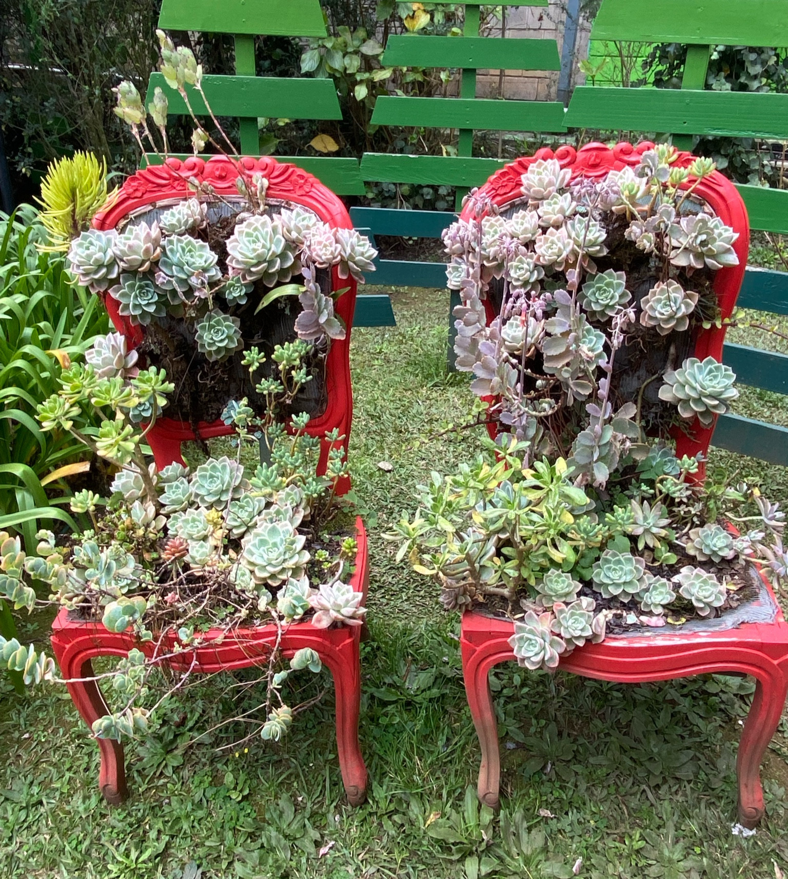 Louca por plantas 🪴 
E a Tok&Stok tem produtos lindos para o seu jardim 💕

#LTKhome #LTKsalealert #LTKbrasil