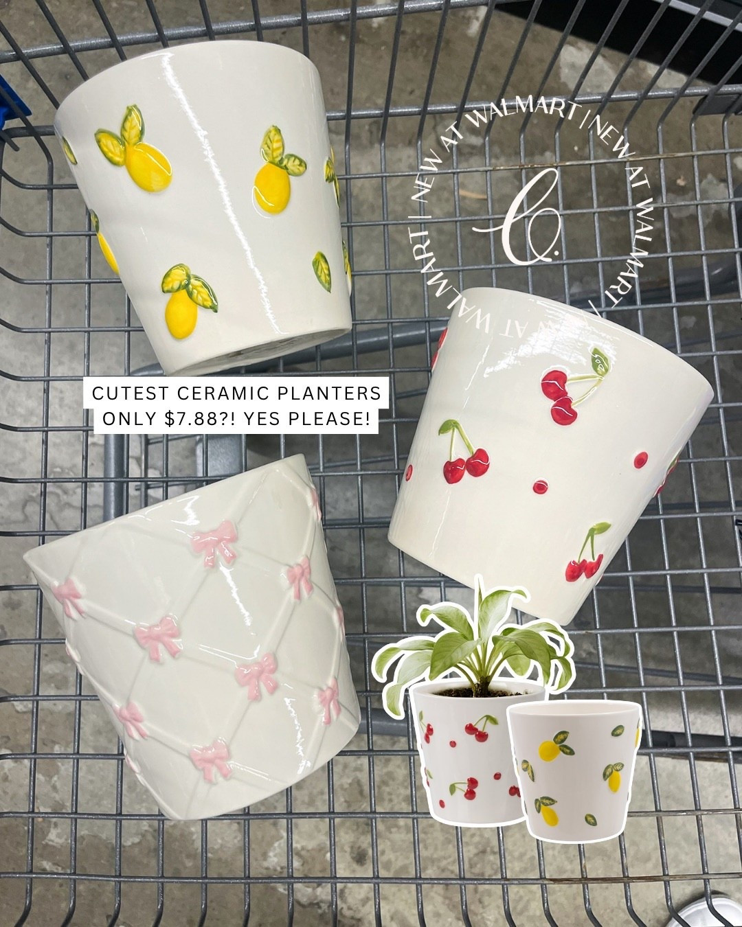 The cutest ceramic planters and under $8!!!

#LTKHome