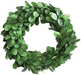 Creative Co-Op DA5819 Round Boxwood Wreath, 6", Green | Amazon (US)