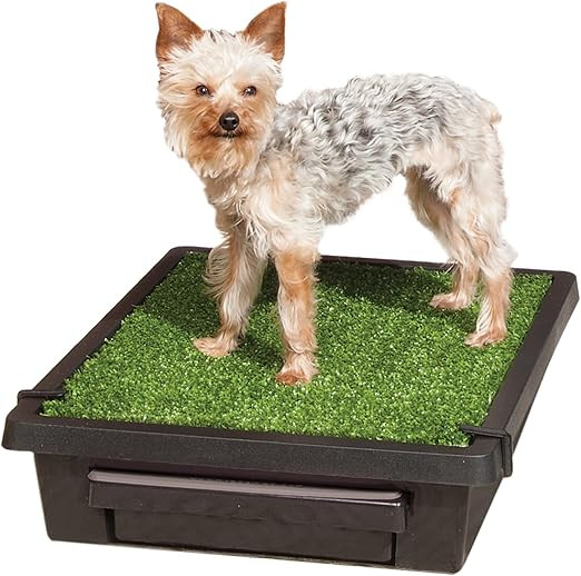 PetSafe Pet Loo Portable Outdoor or Indoor Dog Potty - Reusable Dog Grass Pad with Tray - Alterna... | Amazon (US)