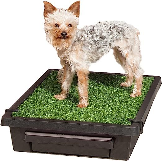 PetSafe Pet Loo Portable Outdoor or Indoor Dog Potty - Reusable Dog Grass Pad with Tray - Alterna... | Amazon (US)
