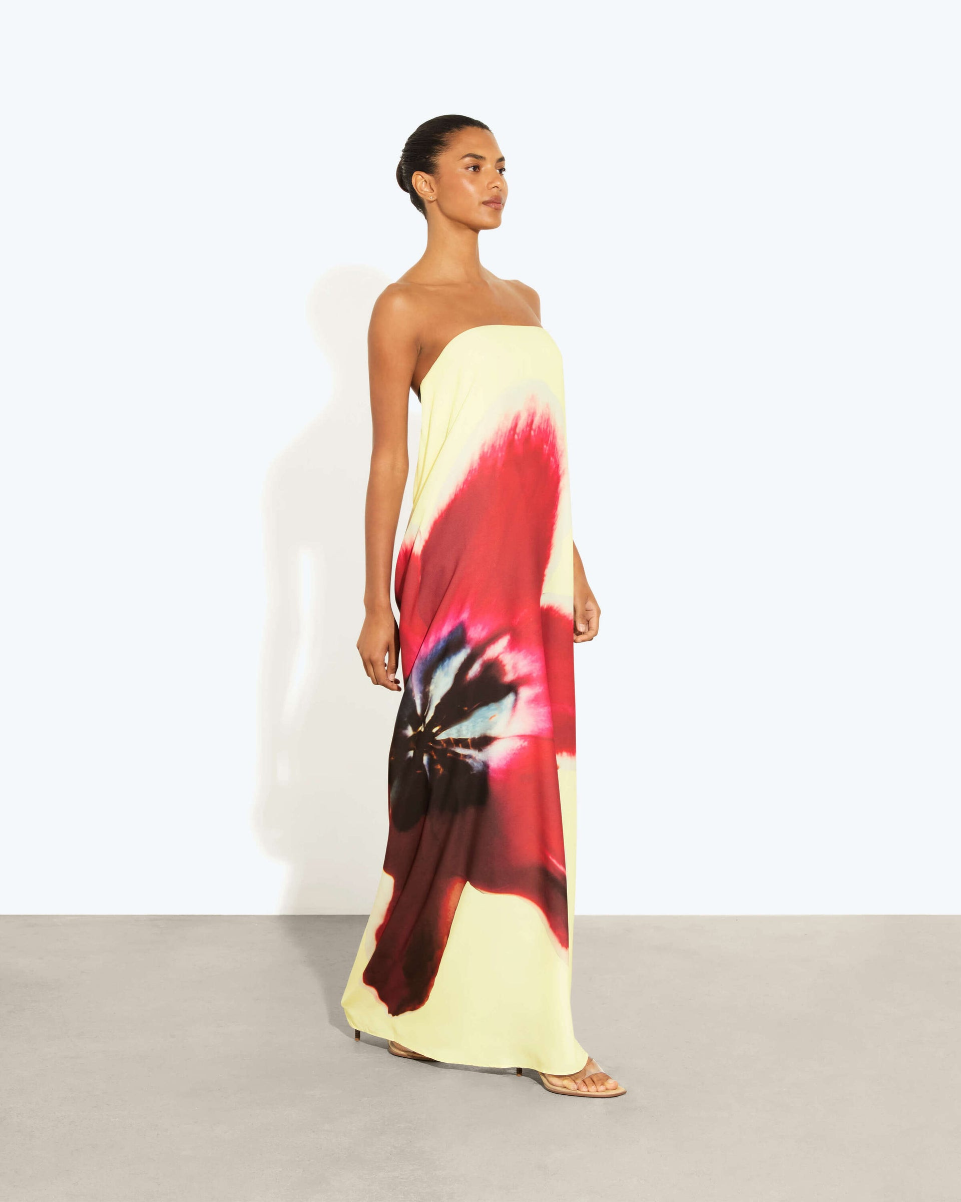 ANTHEIA DRESS | Rat & Boa