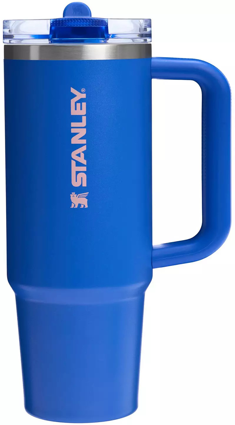 Stanley 30 oz. Quencher ProTour Flip Straw Tumbler - Oasis Collection | DICK'S Sporting Goods