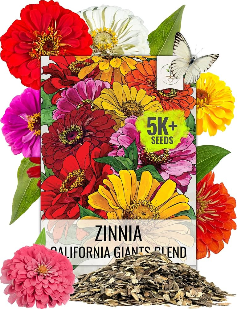 Seed Needs Zinnia Seeds California Giants Variety | 5,000+ Heirloom Seeds Zinnia Elegans Open Pol... | Amazon (US)
