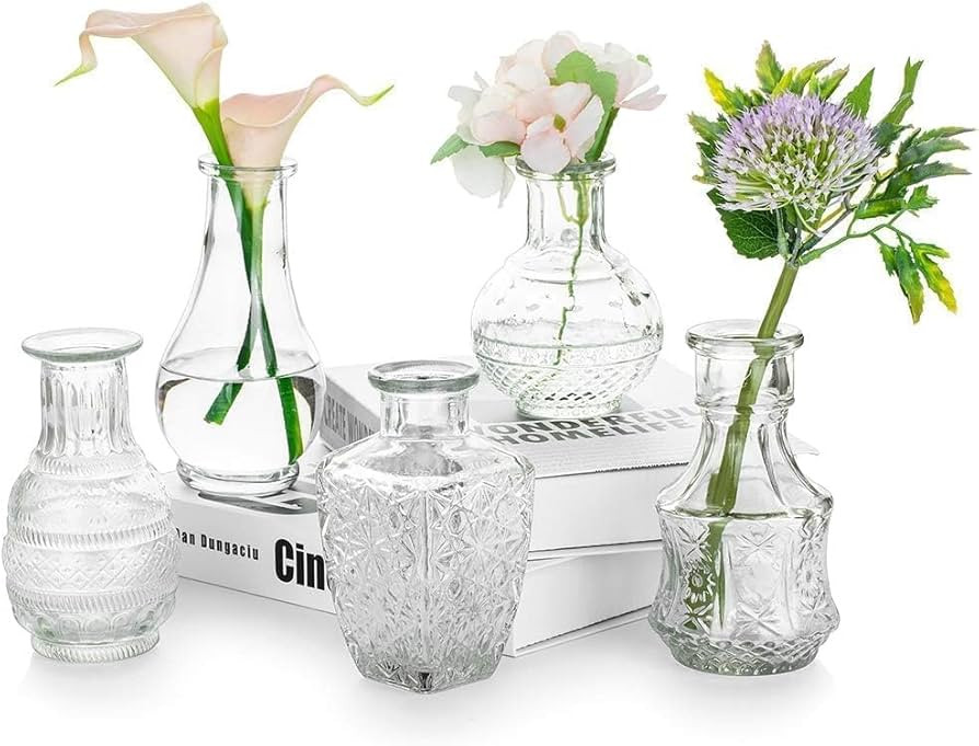 Glasseam Glass Small Bud Vase: Vintage Flower Vases for Centerpieces Mini Crystal Clear Vase Set ... | Amazon (US)