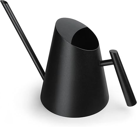 Cesun Watering Can Indoor Plants - Small Stainless Water Can with Long Straight Spout, Metal Wate... | Amazon (US)