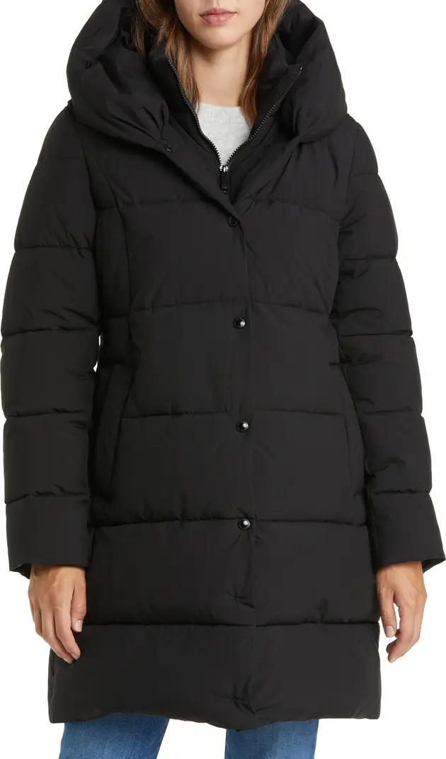 Hooded Puffer Coat | Nordstrom