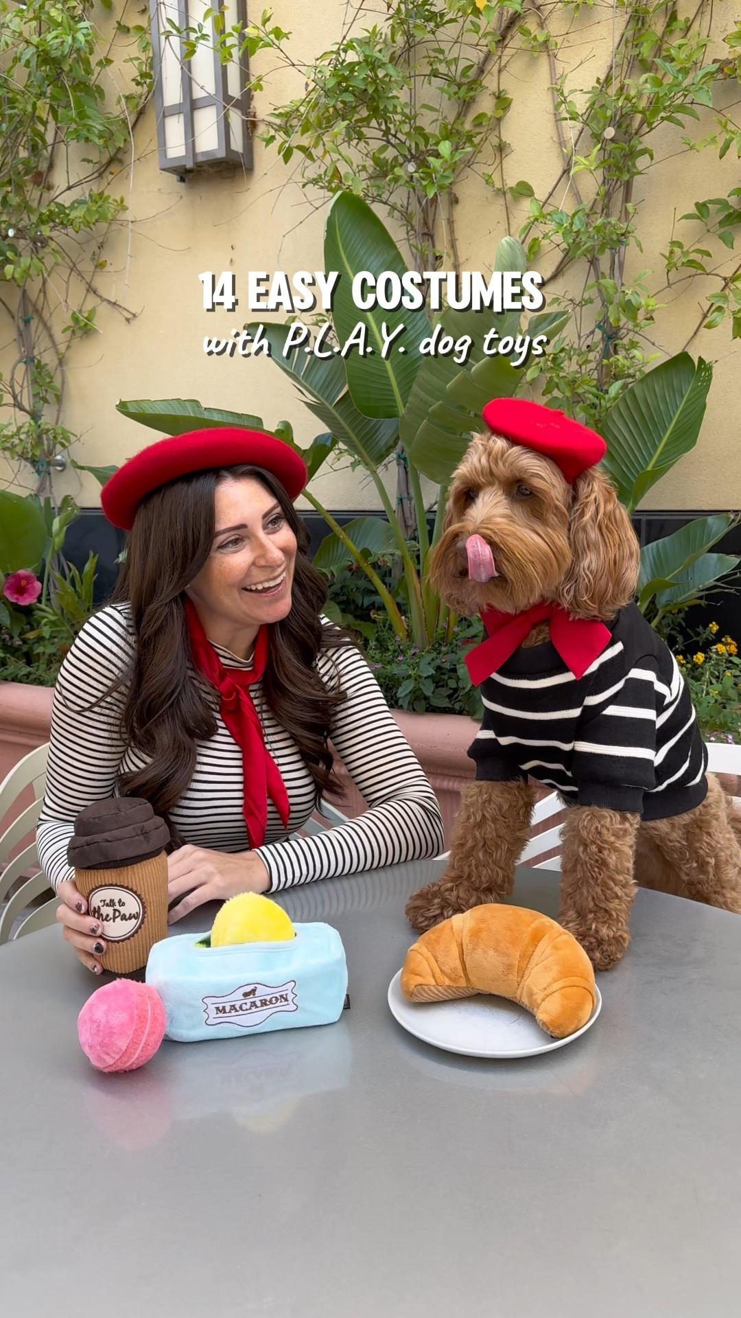 Easy Halloween costumes using dog toys 

#LTKPets #LTKHalloween #LTKSeasonal