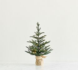 Faux Lit Burlap Potted Pine Tree | Pottery Barn (US)