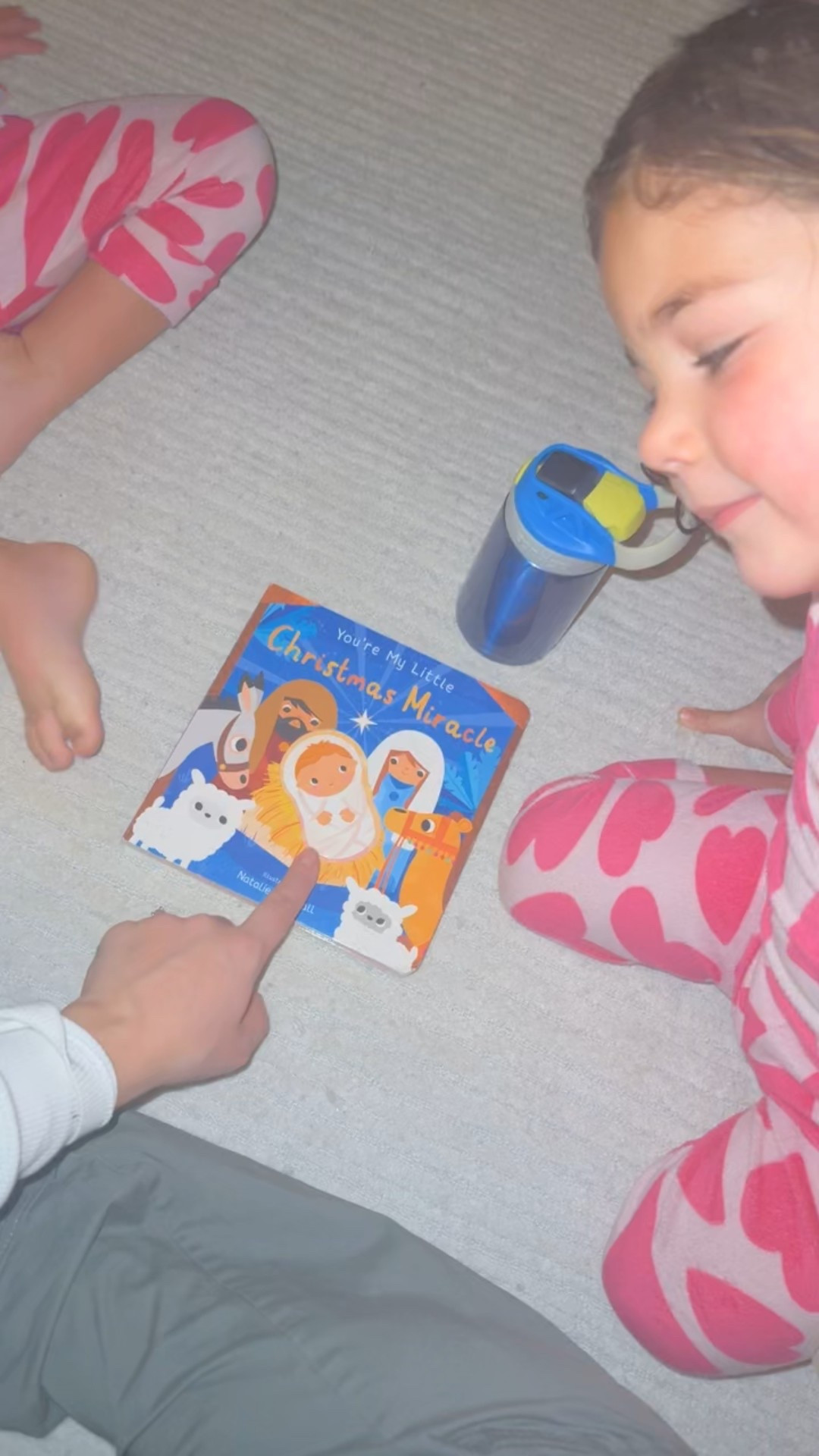 We are loving all the “you’re my little” books 🤍 I tagged the Christmas ones on our bookshelf right now 😍

#LTKGiftGuide #LTKHoliday #LTKmomlife