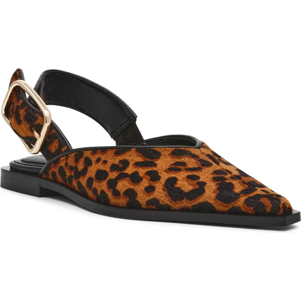 Steve Madden Shay Genuine Calf Hair Pointed Toe Slingback Flat in Leopard at Nordstrom, Size 8.5 | Nordstrom