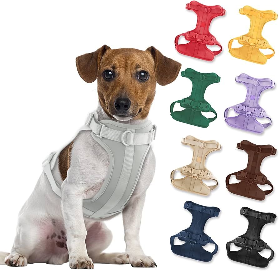 No Pull Lightweight Dog Harness: Adjustable Durable Breathable Mesh Pet Vest Harness with Soft & ... | Amazon (US)