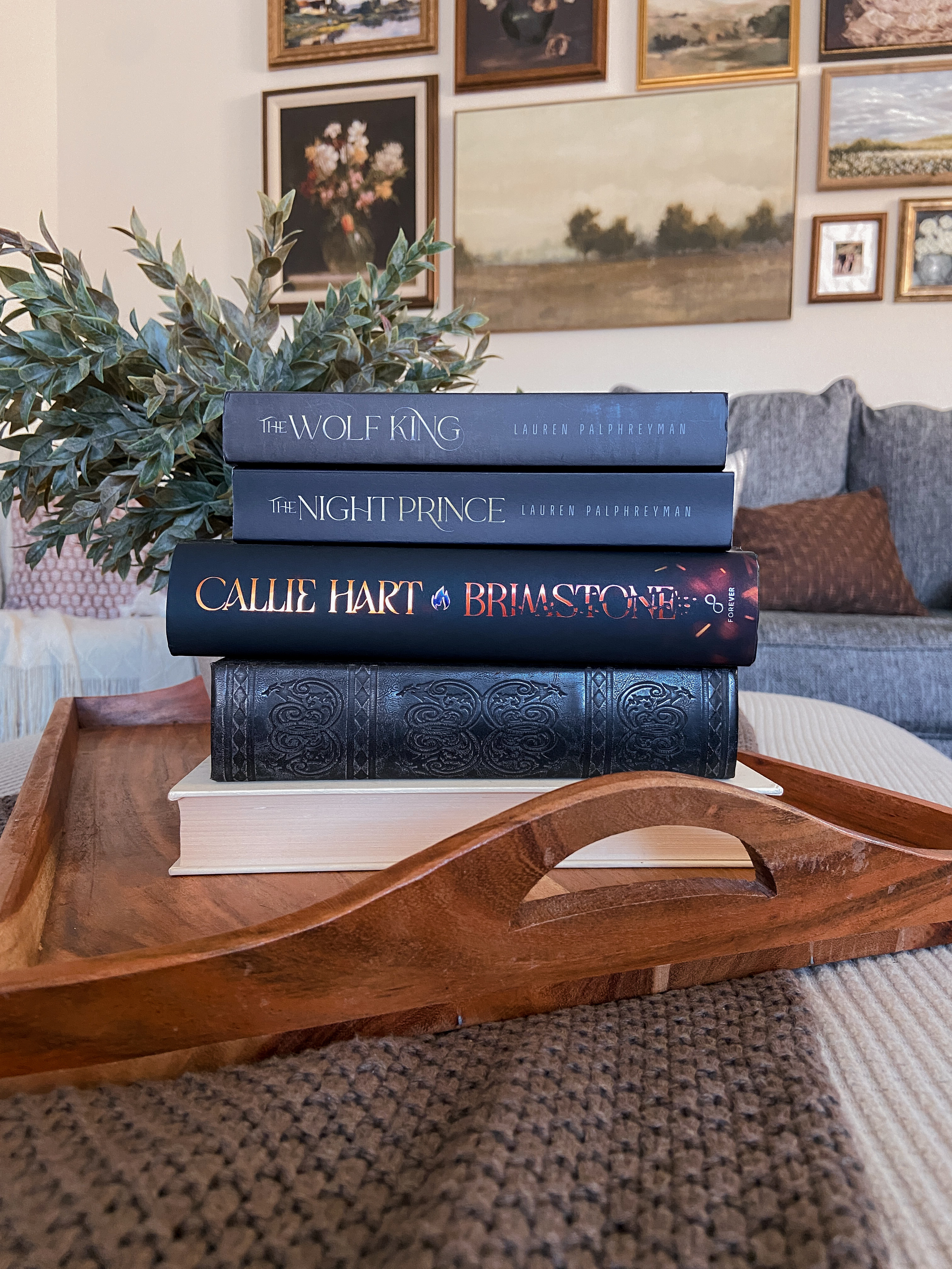 Books on my TBR list for January 2026! 📚💕📖✨ tbr books, books i'm reading in 2026, reading wrap up, romance reading wrap up, book wrap up september to december, romance books recap, reading wrap up 2026, romance book ratings, book review roundup, romance reader content, bookish content creator, end of year reading wrap up, romance books, contemporary romance, fantasy romance, romance book lover, romance book recommendations, booktok romance, popular romance books, romance book reviews, spicy romance books, swoon worthy romance, bookstagram content, booktok aesthetic, cozy reading vibes, reading recap aesthetic, book lover lifestyle, aesthetic book content, reading journal vibes, bookish girl aesthetic, cozy book wrap up, to be read book stack  

 #LTKGiftGuide #LTKSeasonal #LTKU